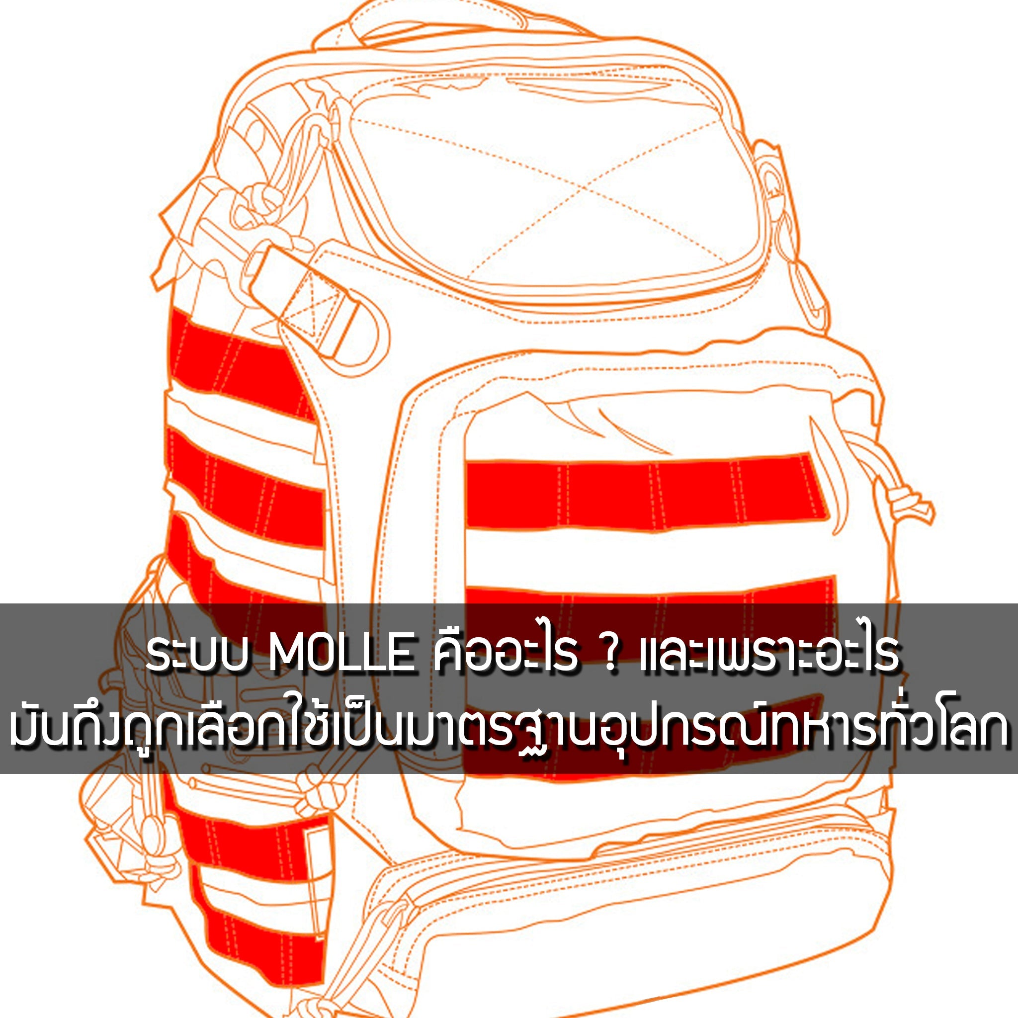 ระบบ MOLLE คืออะไร ? และเพราะอะไรมันถึงถูกเลือกใช้เป็นมาตรฐานอุปกรณ์ทหารทั่วโลก Valor Tactical