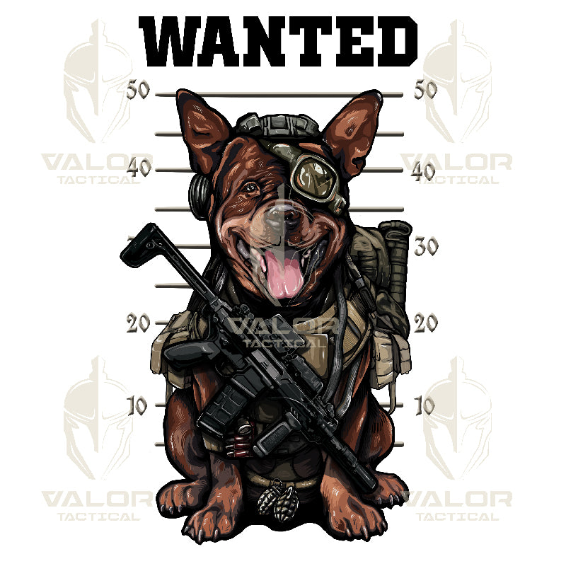 เสื้อยืดสกรีนลาย VALOR PX - Wanted T-Shirt 2024 เสื้อใส่เที่ยว ลายกราฟฟิค
