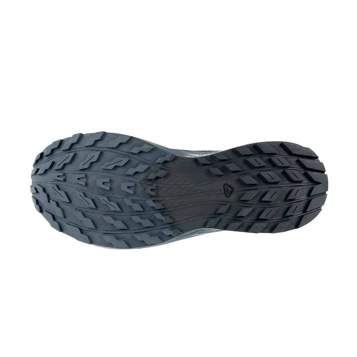 Salomon Sense Ride 5 SR