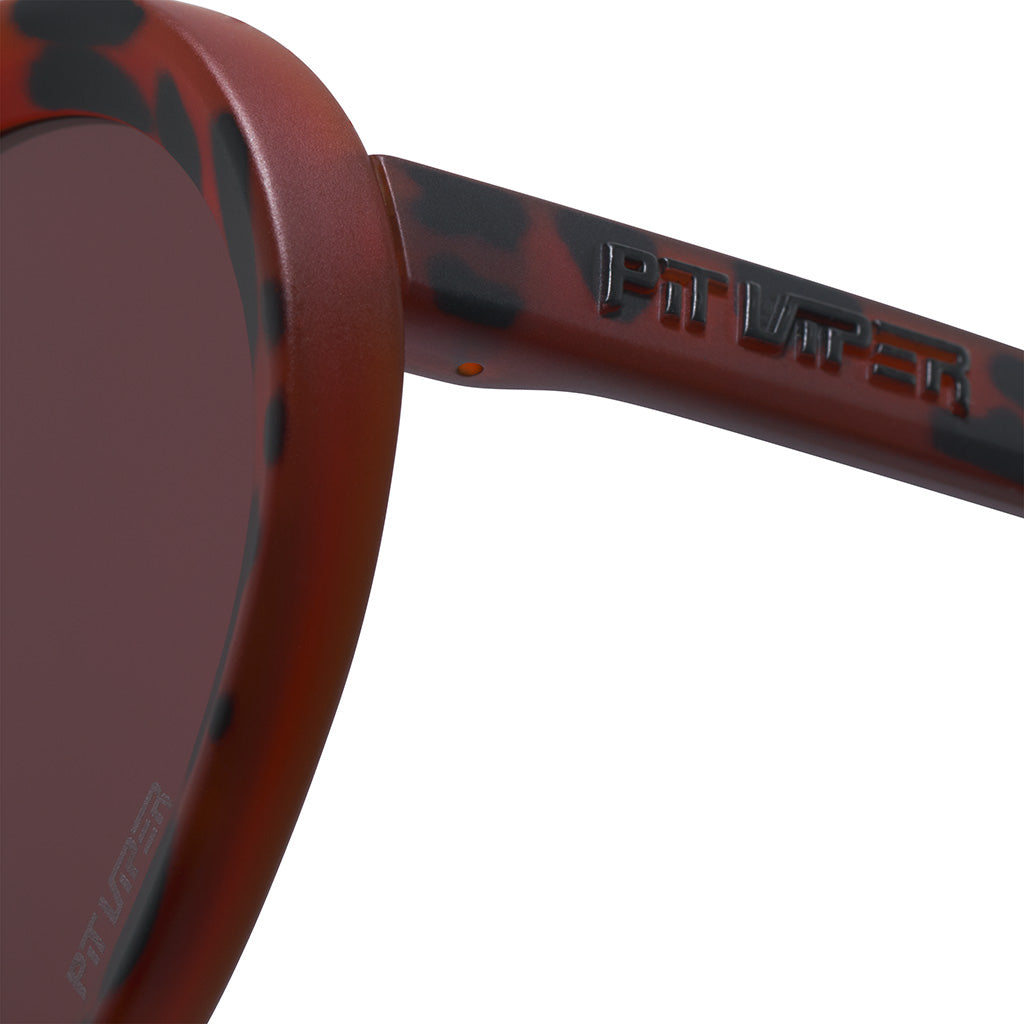 Pit Viper - The Landlocked Admirer,Brown